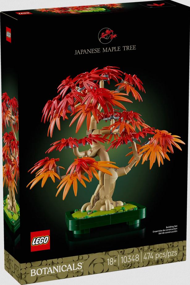 LEGO Botanicals Japanese Red Maple Bonsai Tree