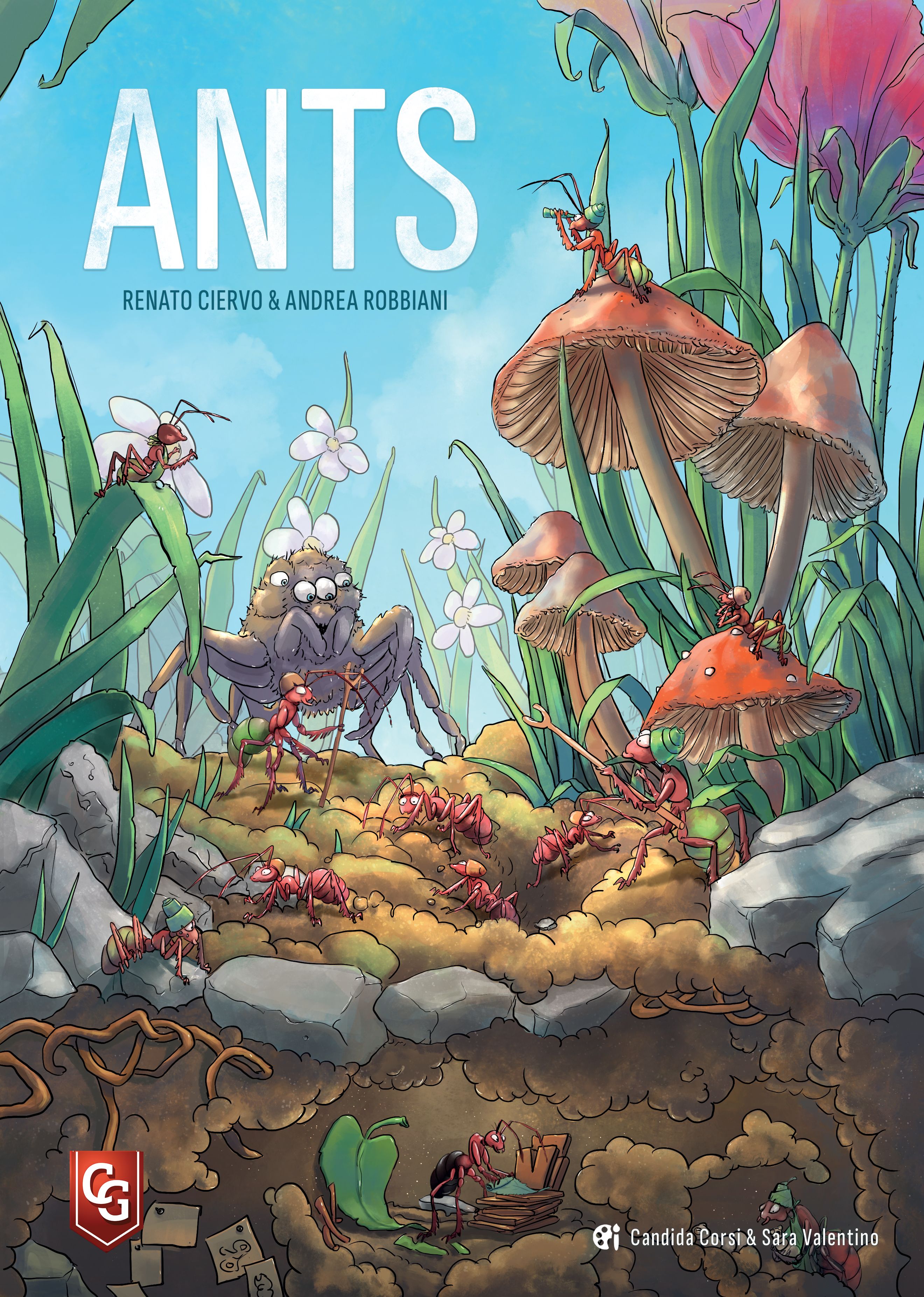 Ants - Board Game