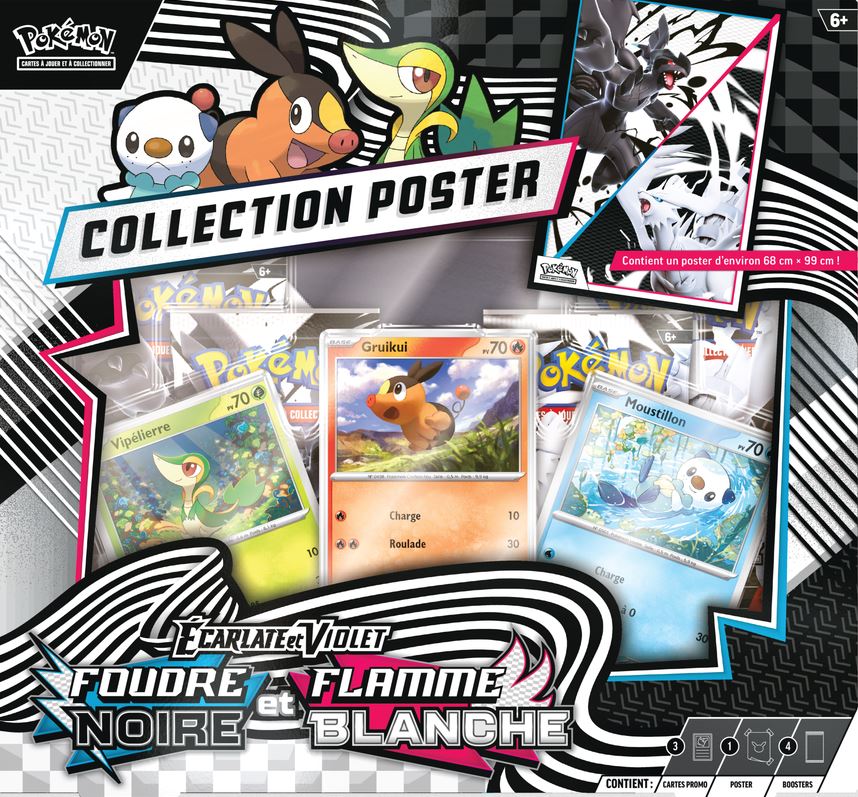 Pokemon Unova Poster Collection