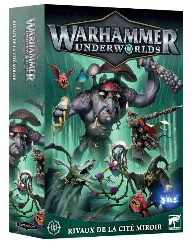Warhammer Rivaux de la Miroir (French)